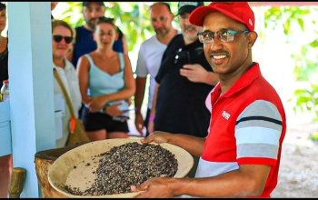 tours y excursiones en punta cana