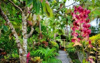 tour excursiones punta cana - comfort adventures