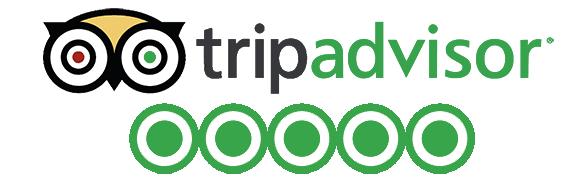 tours excursiones en punta cana en google